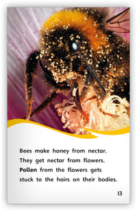 The Incredible Bee from Fables & the Real World