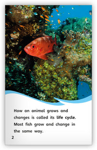 The Life Cycle of a Fish from Fables & the Real World
