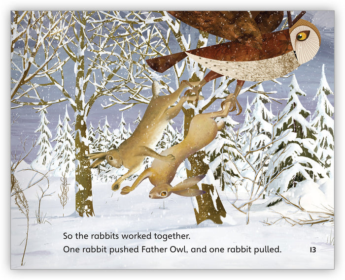 The Owl and the Rabbits Big Book - Hameray Publishing
