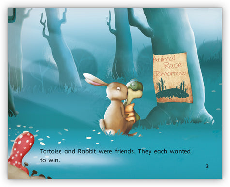 Moving Ahead: Turtle and the Rabbit, Print-Braille Book with Large Print  Reader's Guide