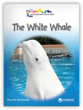 The White Whale from Kaleidoscope Collection