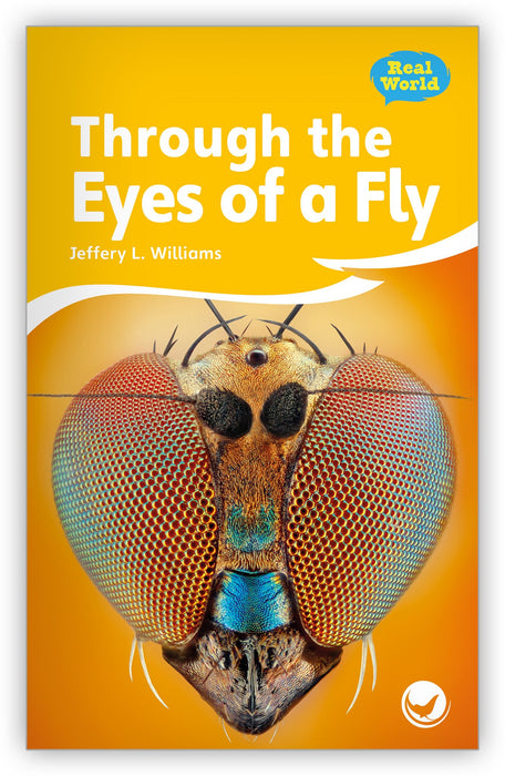 Through the Eyes of a Fly from Fables & the Real World