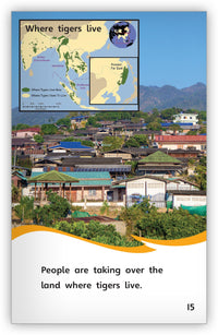 Tigers and Lions: Alike and Different from Fables & the Real World