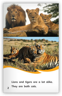 Tigers and Lions: Alike and Different Big Book from Fables & the Real World