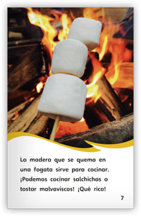 Todo sobre la madera Leveled Book