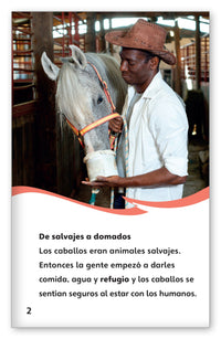 Todo sobre los caballos from Fábulas y el Mundo Real