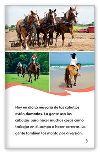 Todo sobre los caballos from Fábulas y el Mundo Real