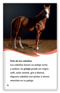 Todo sobre los caballos from Fábulas y el Mundo Real