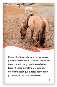 Todo sobre los caballos from Fábulas y el Mundo Real