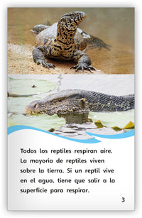 Todo sobre los lagartos from Fábulas y el Mundo Real