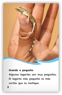 Todo sobre los lagartos from Fábulas y el Mundo Real