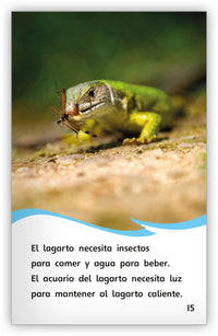 Todo sobre los lagartos from Fábulas y el Mundo Real