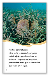 Todo sobre las perlas from Fábulas y el Mundo Real