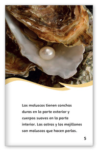 Todo sobre las perlas from Fábulas y el Mundo Real