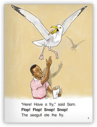 Too Many Seagulls from Kaleidoscope Collection