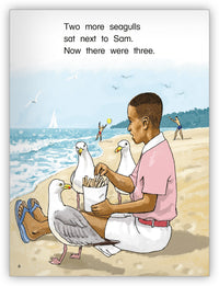 Too Many Seagulls from Kaleidoscope Collection