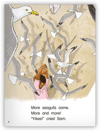 Too Many Seagulls from Kaleidoscope Collection