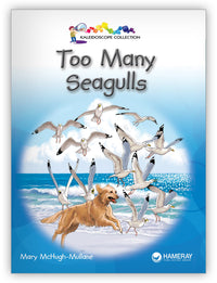 Too Many Seagulls from Kaleidoscope Collection
