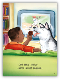 Too Many Treats Big Book