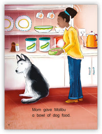 Too Many Treats Big Book