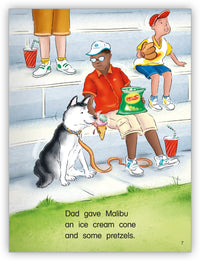 Too Many Treats Big Book