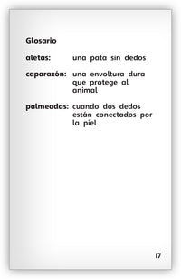 ¿Tortuga marina o tortuga terrestre? from Fábulas y el Mundo Real