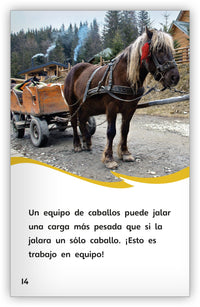 Trabajo en equipo from Fábulas y el Mundo Real