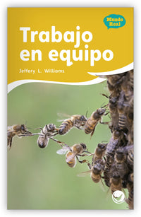 Trabajo en equipo Leveled Book