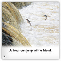 Trout from Zoozoo Animal World