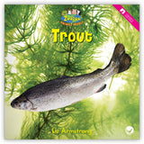 Trout from Zoozoo Animal World