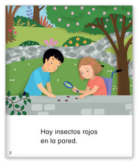 Un arcoíris de colores