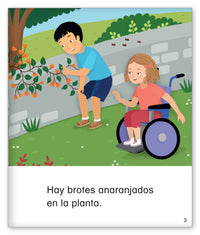 Un arcoíris de colores