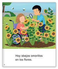 Un arcoíris de colores