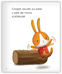 Conejito Set (6-Packs)