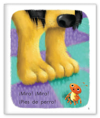 Un insecto en la alfombra from Los Pajaritos de Joy Cowley