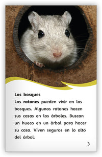 Una casa para un ratón Leveled Book