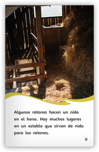 Una casa para un ratón from Fábulas y el Mundo Real