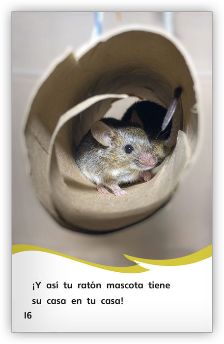 Una casa para un ratón Leveled Book