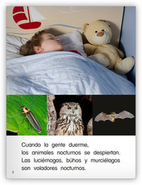 Voladores nocturnos from Colección Caleidoscopio