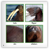 Walrus Leveled Book