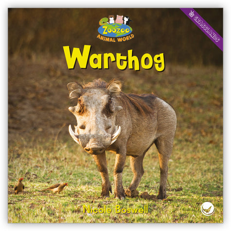 Warthog from Zoozoo Animal World