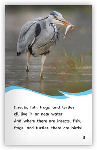 Water Birds from Fables & the Real World