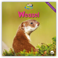 Weasel from Zoozoo Animal World