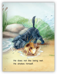 Wet, Wet, Wet from Kaleidoscope Collection