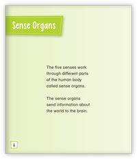What Are the Five Senses?