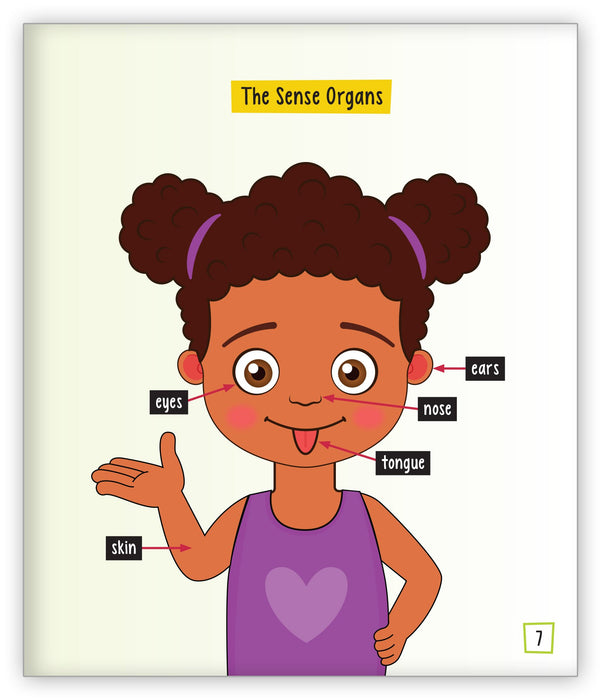 What Are the Five Senses?