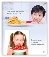 What Are the Five Senses?