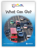 What Can Go? Leveled Book