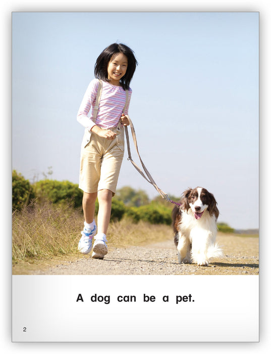 What Is a Pet? from Kaleidoscope Collection