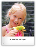 What Is a Pet? Leveled Book